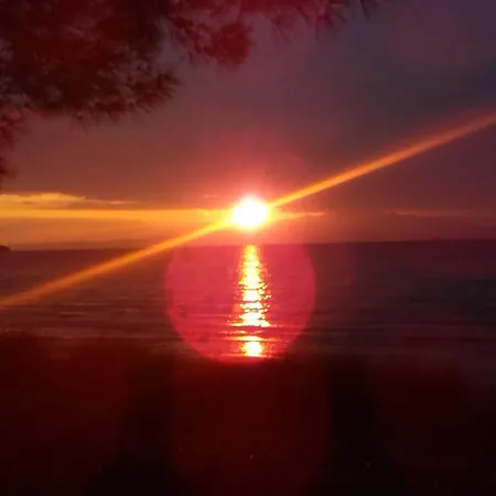 Πανσιόν Arleta's Sunny