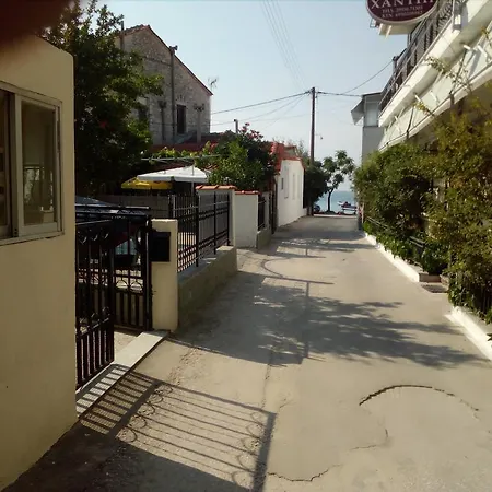 Arleta's Sunny Prinos (Thasos)