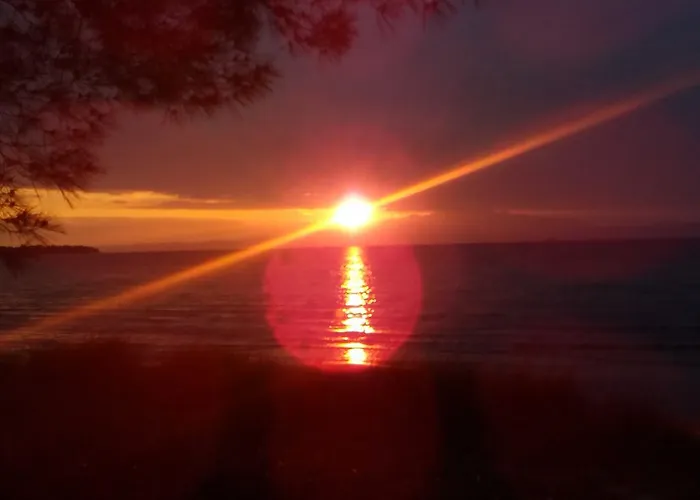 ゲストハウス Arleta's Sunny